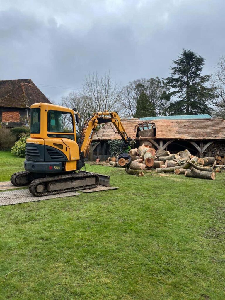 This is a photo of a tree which has grown through the roof of a barn that is being cut down and removed. There is a digger that is removing sections of the tree as well. Letchworth Garden City Tree Surgeons