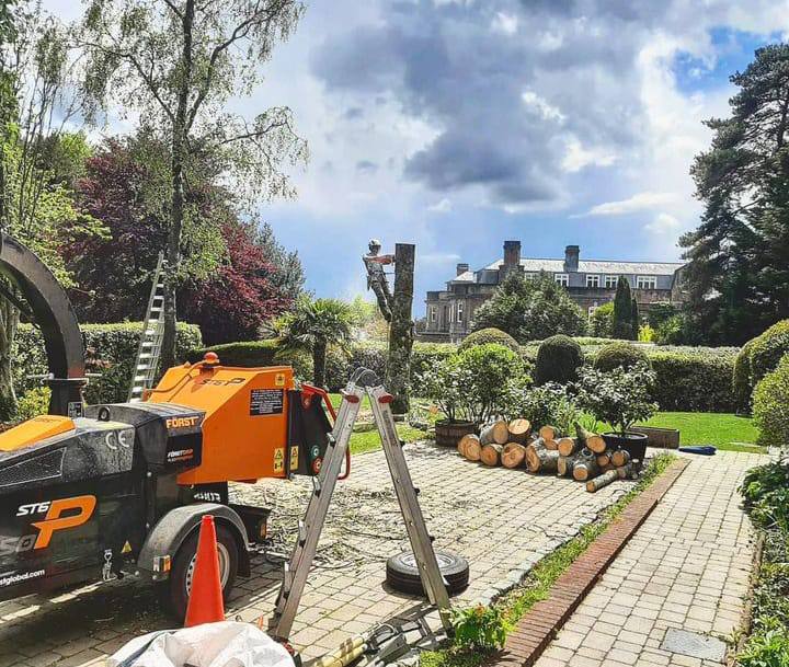 This is a photo of a tree being felled. A tree surgeon is currently removing the last section, the logs are stacked in a pile. Letchworth Garden City Tree Surgeons