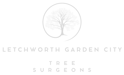 Letchworth Garden City Tree Surgeons